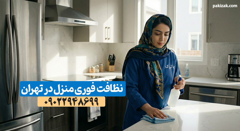 نظافت منزل فوری